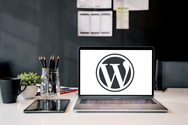 Optimierte WordPress-Website durch eine SEO Agentur